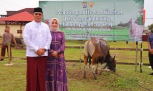 IMG-20260527-WA0012