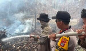 IMG-20260812-WA0007